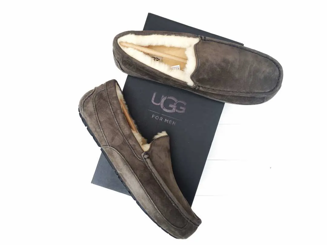 Чоловічі теплі мокасини Ugg Ascot